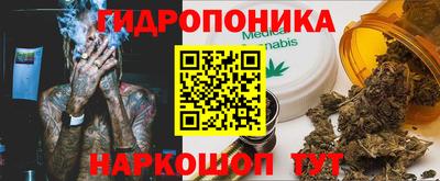 прущие крисы Краснодар