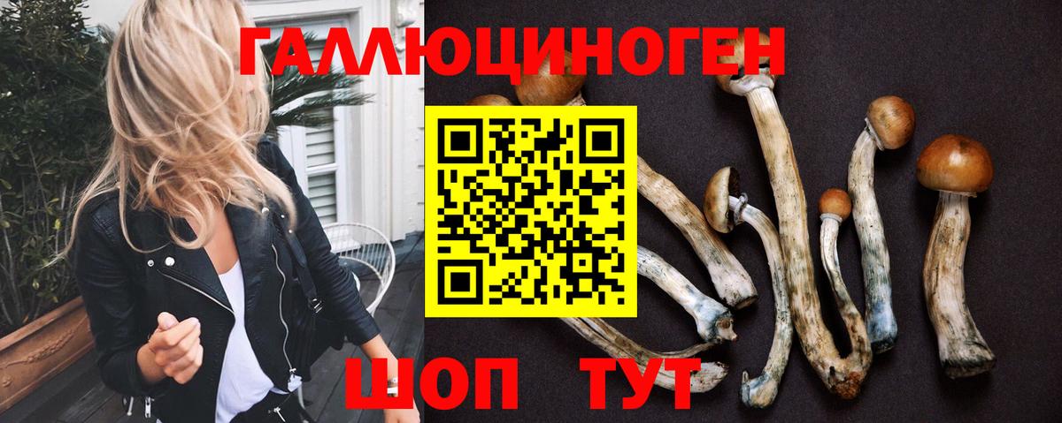 Псилоцибиновые грибы прущие грибы Урюпинск